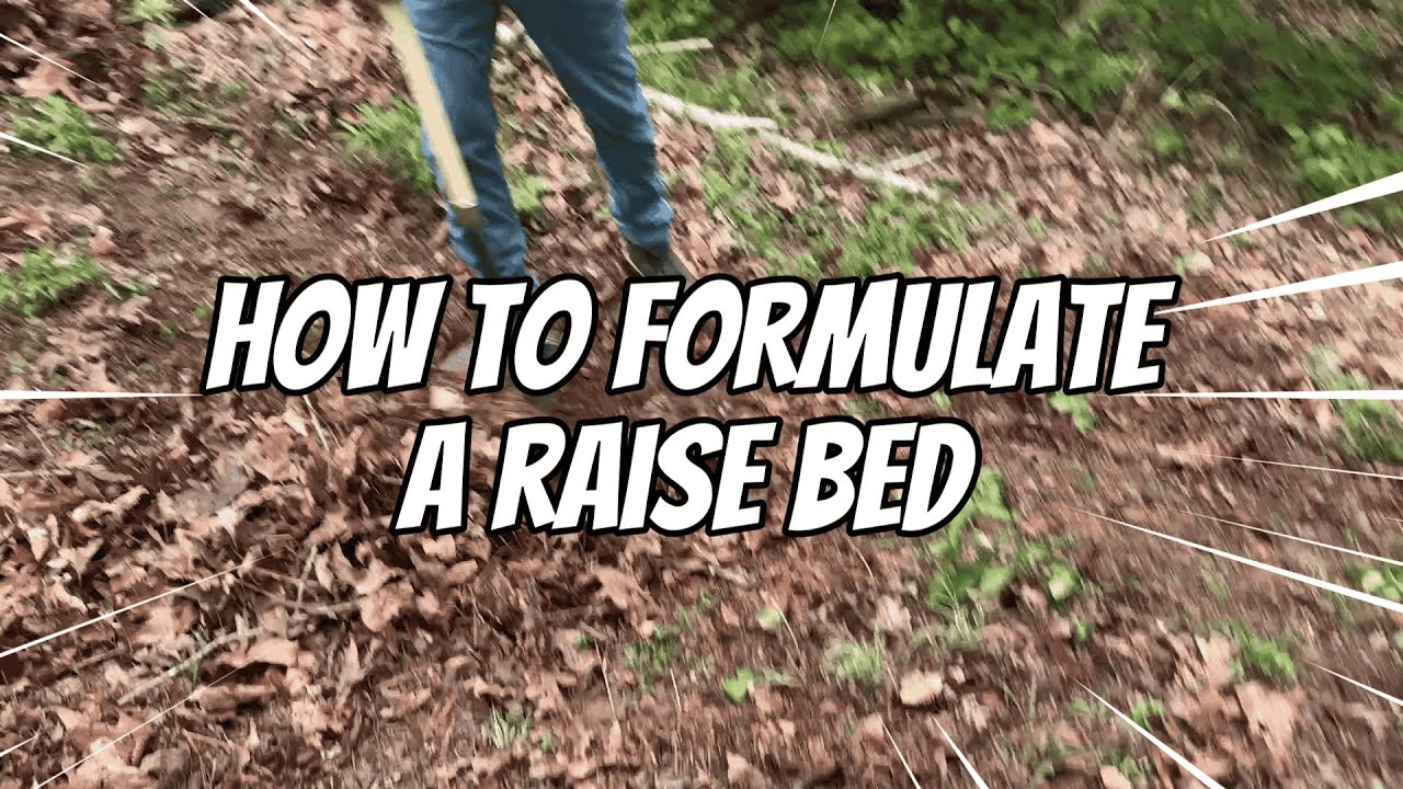 Raised Bed Gardening 101